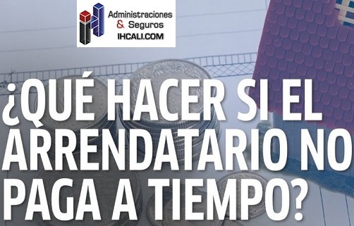 Lee más sobre el artículo Riesgos de Arrendar su propiedad sin respaldo